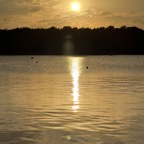 IMG_1950.JPG