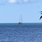 IMG_1981.JPG